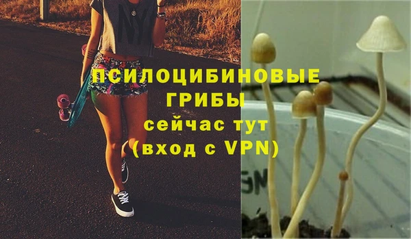 бошки Зеленодольск