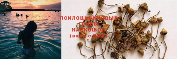 бошки Зеленодольск