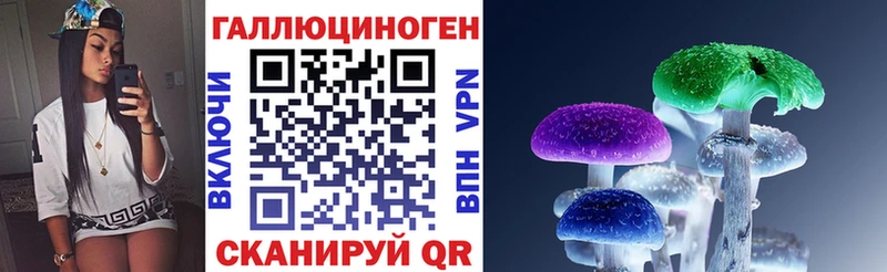 блэк спрут ONION  Сосногорск  Псилоцибиновые грибы Psilocybe 